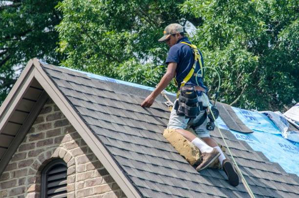 Best Shingle Roofing Installation  in Collierville, CA